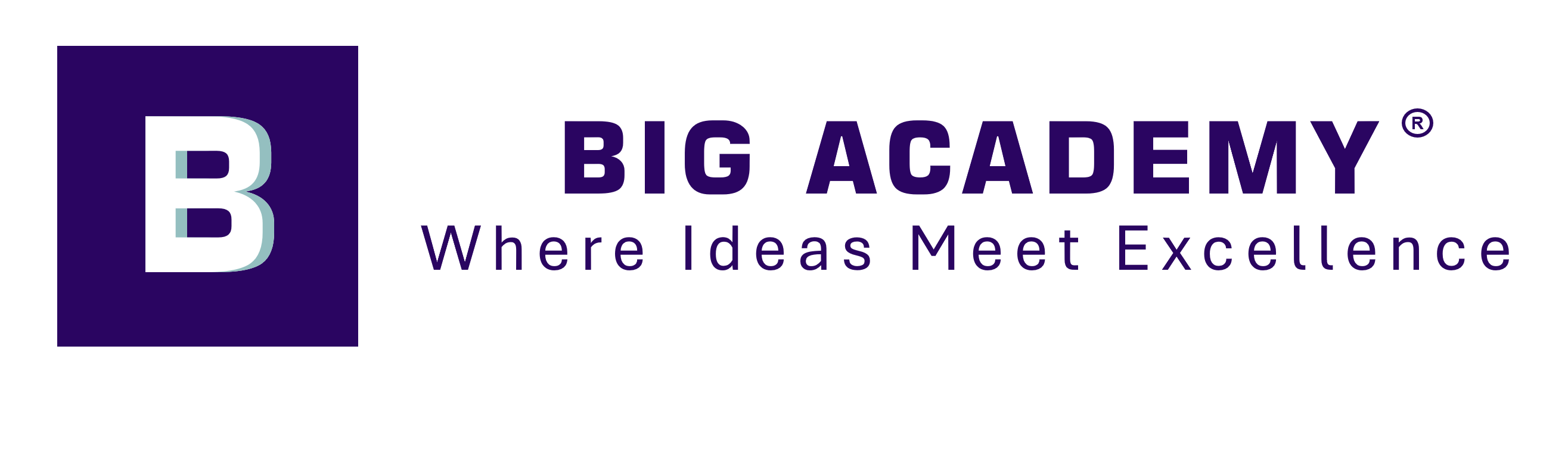 Big Academy Logo